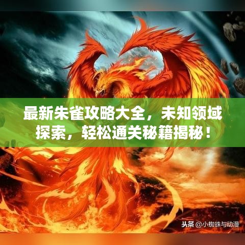 最新朱雀攻略大全，未知領(lǐng)域探索，輕松通關(guān)秘籍揭秘！