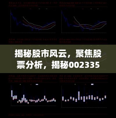 揭秘股市風(fēng)云，聚焦股票分析，揭秘002335股票動(dòng)態(tài)與前景展望