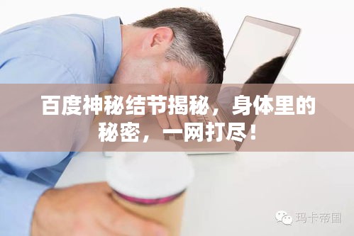 百度神秘結(jié)節(jié)揭秘，身體里的秘密，一網(wǎng)打盡！