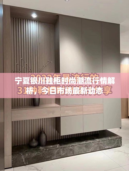 寧夏銀川鞋柜時尚潮流行情解析，今日市場最新動態(tài)