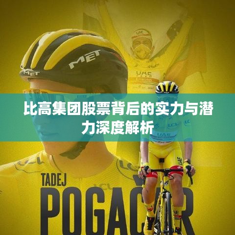 比高集團(tuán)股票背后的實(shí)力與潛力深度解析