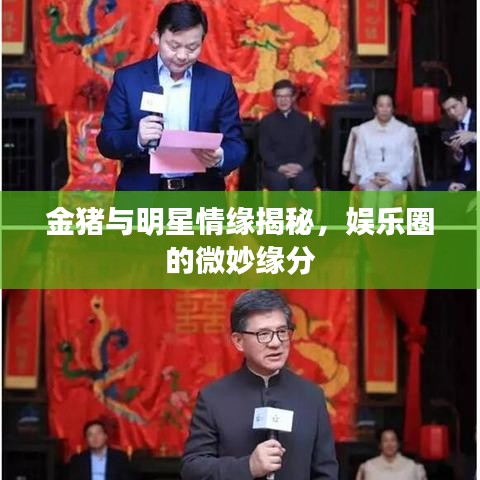 金豬與明星情緣揭秘，娛樂圈的微妙緣分