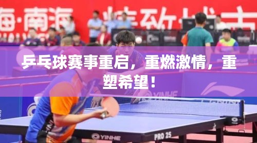 乒乓球賽事重啟，重燃激情，重塑希望！