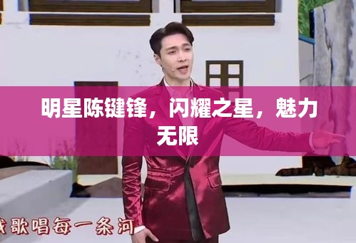 明星陳鍵鋒，閃耀之星，魅力無限