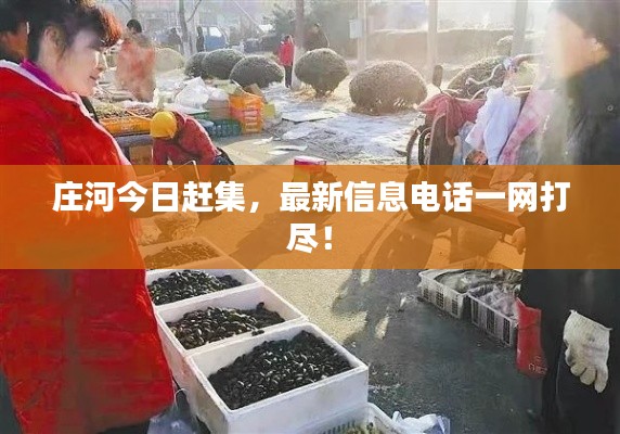 莊河今日趕集，最新信息電話一網(wǎng)打盡！