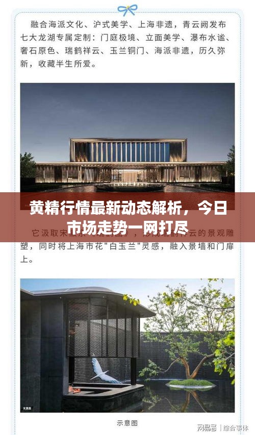 黃精行情最新動態(tài)解析，今日市場走勢一網(wǎng)打盡